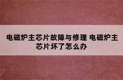 电磁炉主芯片故障与修理 电磁炉主芯片坏了怎么办